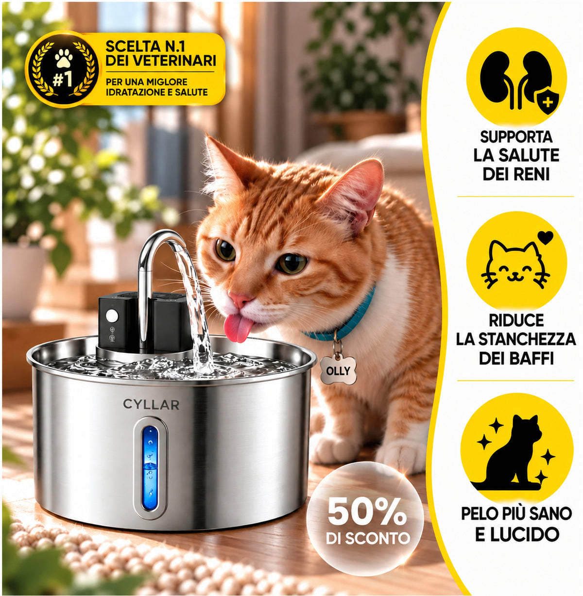 La Fontanella con Acqua Filtrata che Invoglia il Tuo Gatto a Bere di Più
