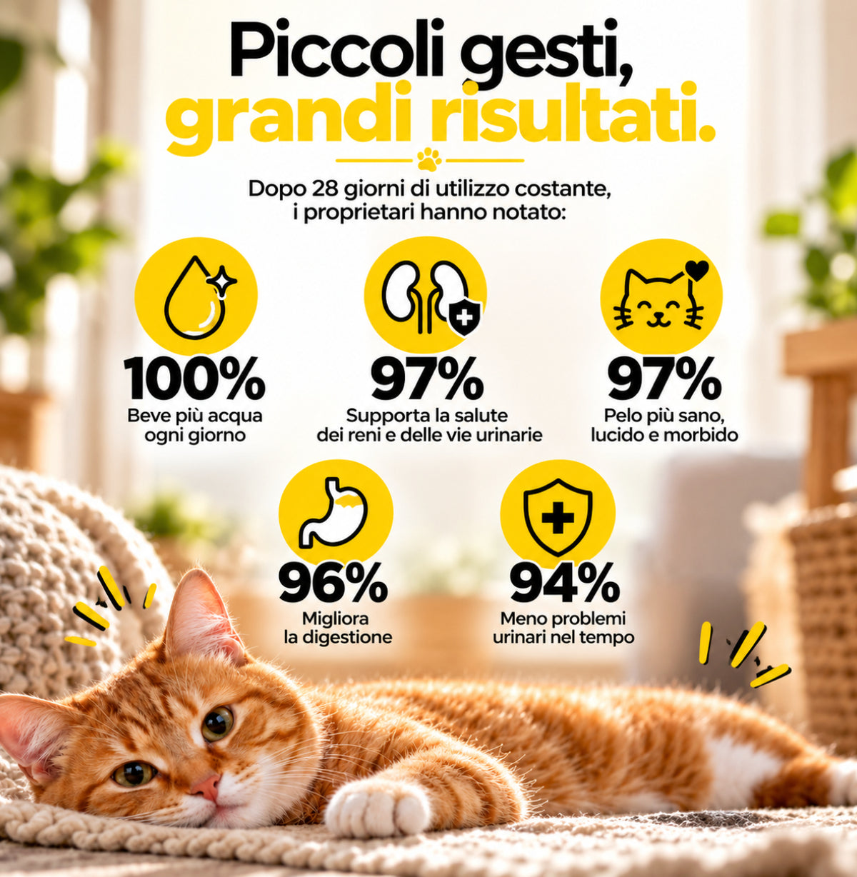 La Fontanella con Acqua Filtrata che Invoglia il Tuo Gatto a Bere di Più
