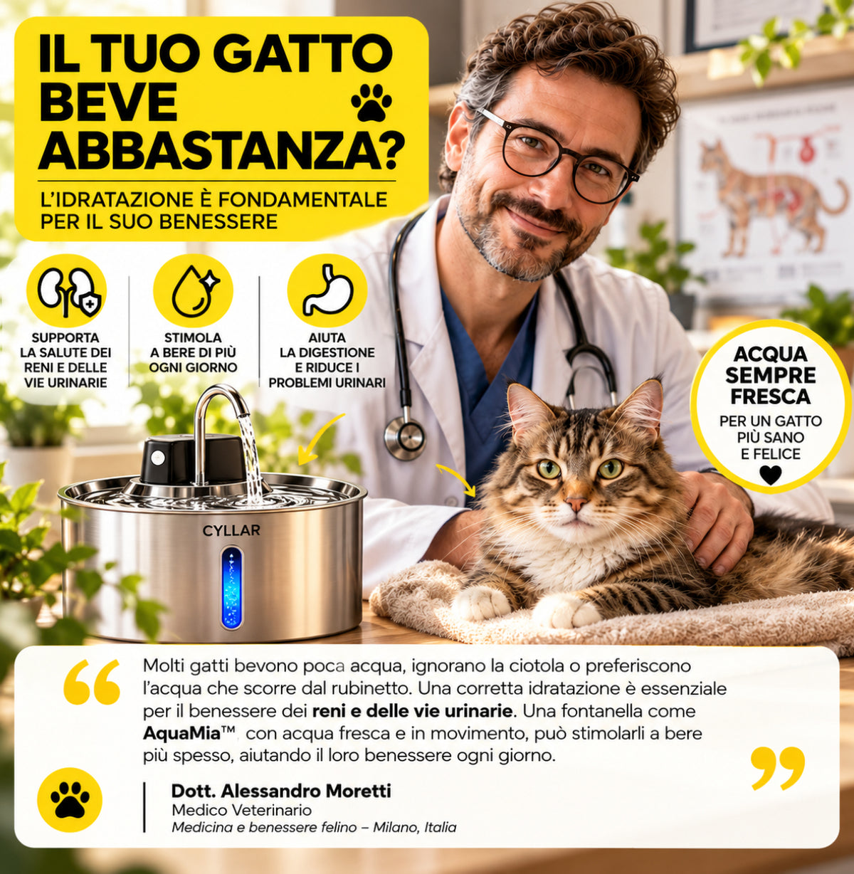 La Fontanella con Acqua Filtrata che Invoglia il Tuo Gatto a Bere di Più