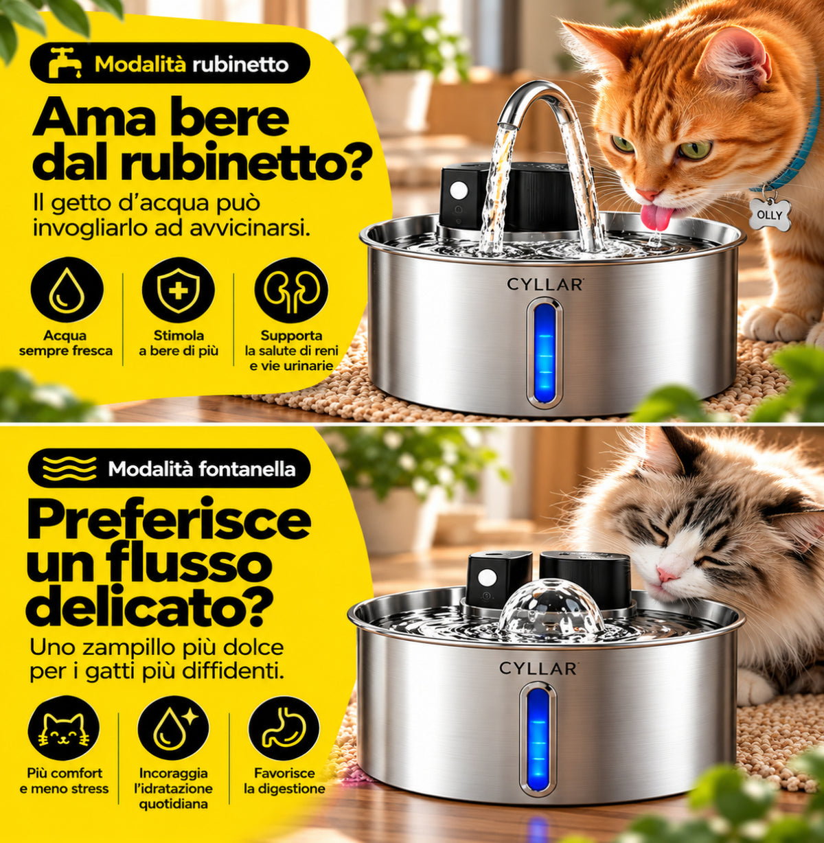 La Fontanella con Acqua Filtrata che Invoglia il Tuo Gatto a Bere di Più